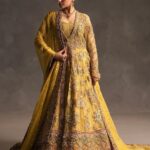 Ahmed Sultan – Sajni