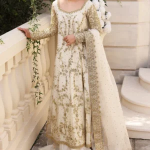 Rashmeen Ivory
