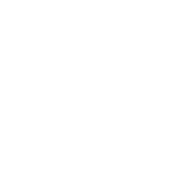 sewing-machine